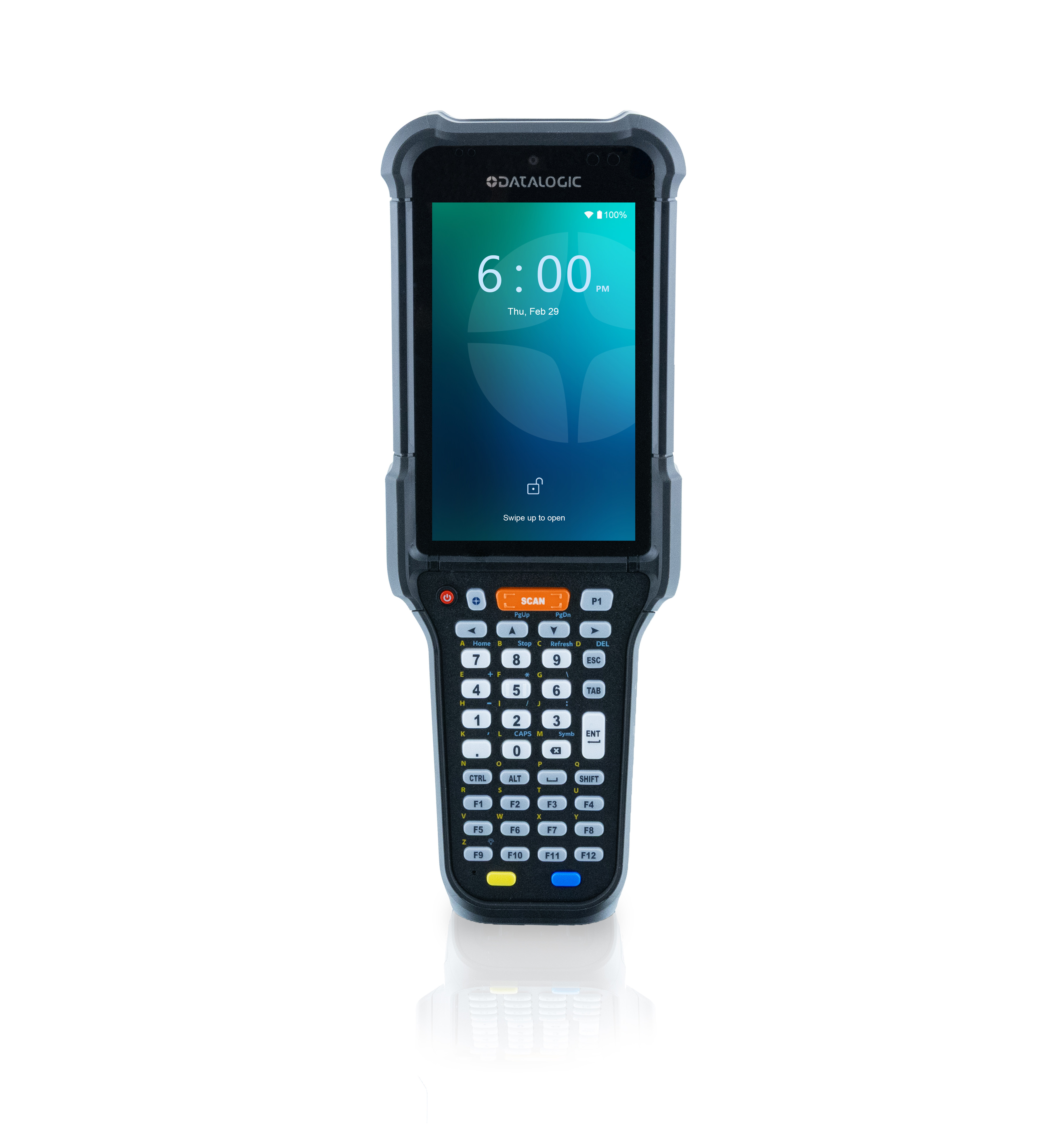 Datalogic Falcon X60-X65 
