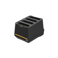 CipherLab RS38